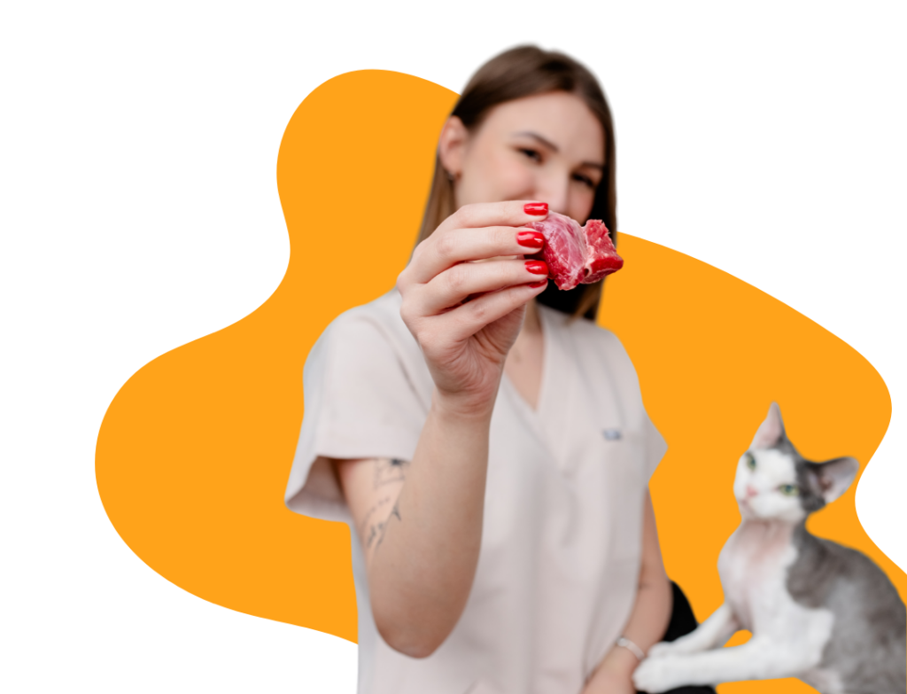 koci behawiorysta, pomoc dla kota, dietetyk dla kota, koci behawiorysta online, koci behawiorysta żory, koci behawiorysta śląsk, mój kot.. Julia Śrama behawiorystka