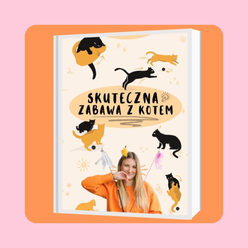 E-book "skuteczna zabawa z kotem"