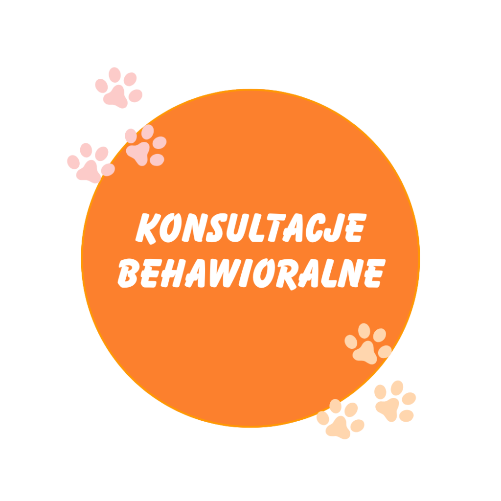 koci behawiorysta, pomoc dla kota, dietetyk dla kota, koci behawiorysta online, koci behawiorysta żory, koci behawiorysta śląsk, mój kot.. Julia Śrama behawiorystka