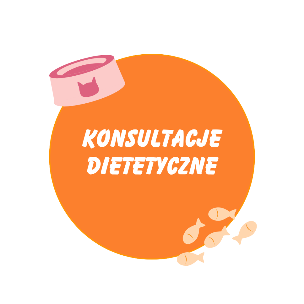 koci behawiorysta, pomoc dla kota, dietetyk dla kota, koci behawiorysta online, koci behawiorysta żory, koci behawiorysta śląsk, mój kot.. Julia Śrama behawiorystka