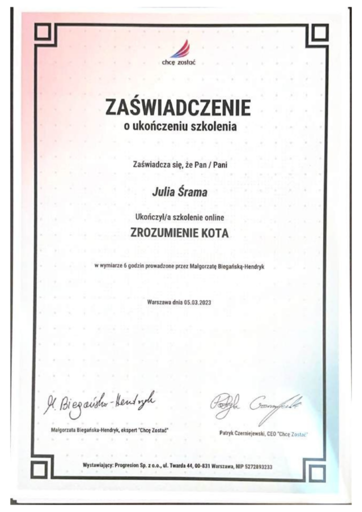 koci behawiorysta, pomoc dla kota, dietetyk dla kota, koci behawiorysta online, koci behawiorysta żory, koci behawiorysta śląsk, mój kot.. Julia Śrama behawiorystka