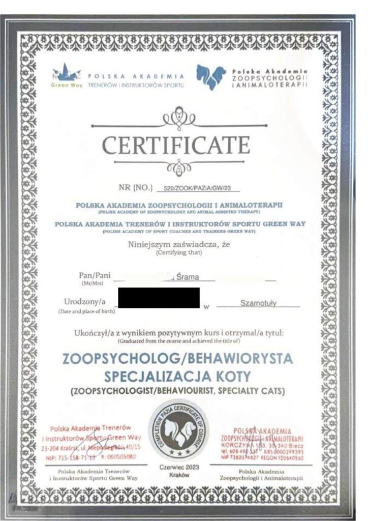 Julia śrama behawiorystka, julia srama behawiorystka opinie, czy warto, koci behawiorysta, pomoc dla kota, dietetyk dla kota, koci behawiorysta online, koci behawiorysta żory, koci behawiorysta śląsk, mój kot..