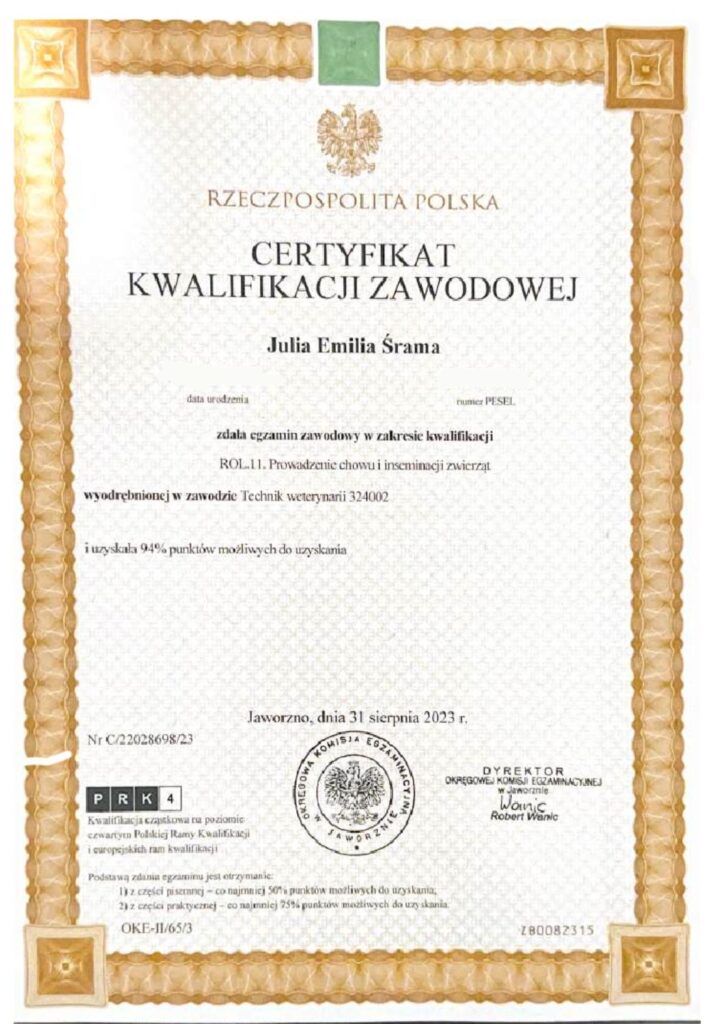koci behawiorysta, pomoc dla kota, dietetyk dla kota, koci behawiorysta online, koci behawiorysta żory, koci behawiorysta śląsk, mój kot.. Julia Śrama behawiorystka