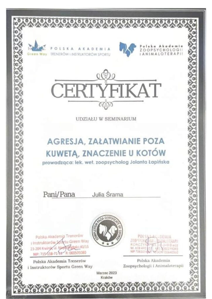 koci behawiorysta, pomoc dla kota, dietetyk dla kota, koci behawiorysta online, koci behawiorysta żory, koci behawiorysta śląsk, mój kot.. Julia Śrama behawiorystka