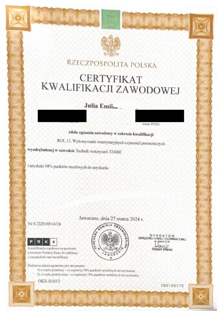 Julia śrama behawiorystka, julia srama behawiorystka opinie, czy warto, koci behawiorysta, pomoc dla kota, dietetyk dla kota, koci behawiorysta online, koci behawiorysta żory, koci behawiorysta śląsk, mój kot..