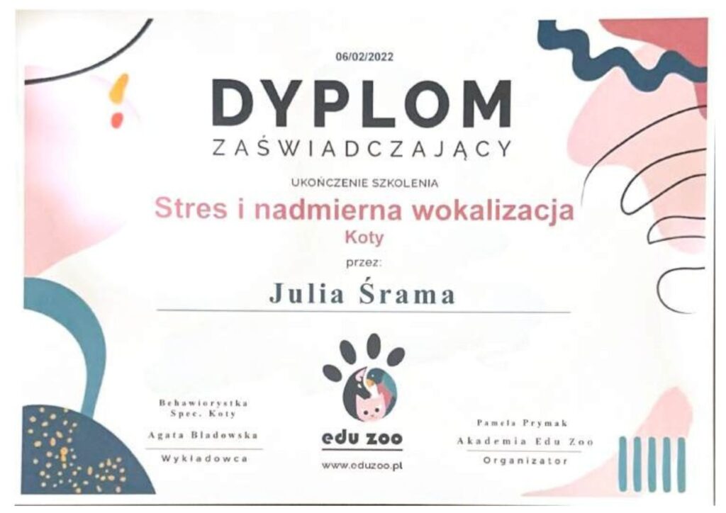 koci behawiorysta, pomoc dla kota, dietetyk dla kota, koci behawiorysta online, koci behawiorysta żory, koci behawiorysta śląsk, mój kot.. Julia Śrama behawiorystka, wokalizacja