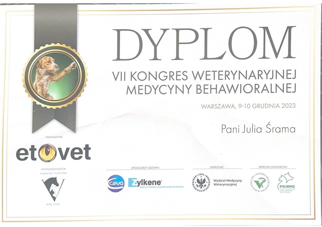 koci behawiorysta, pomoc dla kota, dietetyk dla kota, koci behawiorysta online, koci behawiorysta żory, koci behawiorysta śląsk, mój kot..