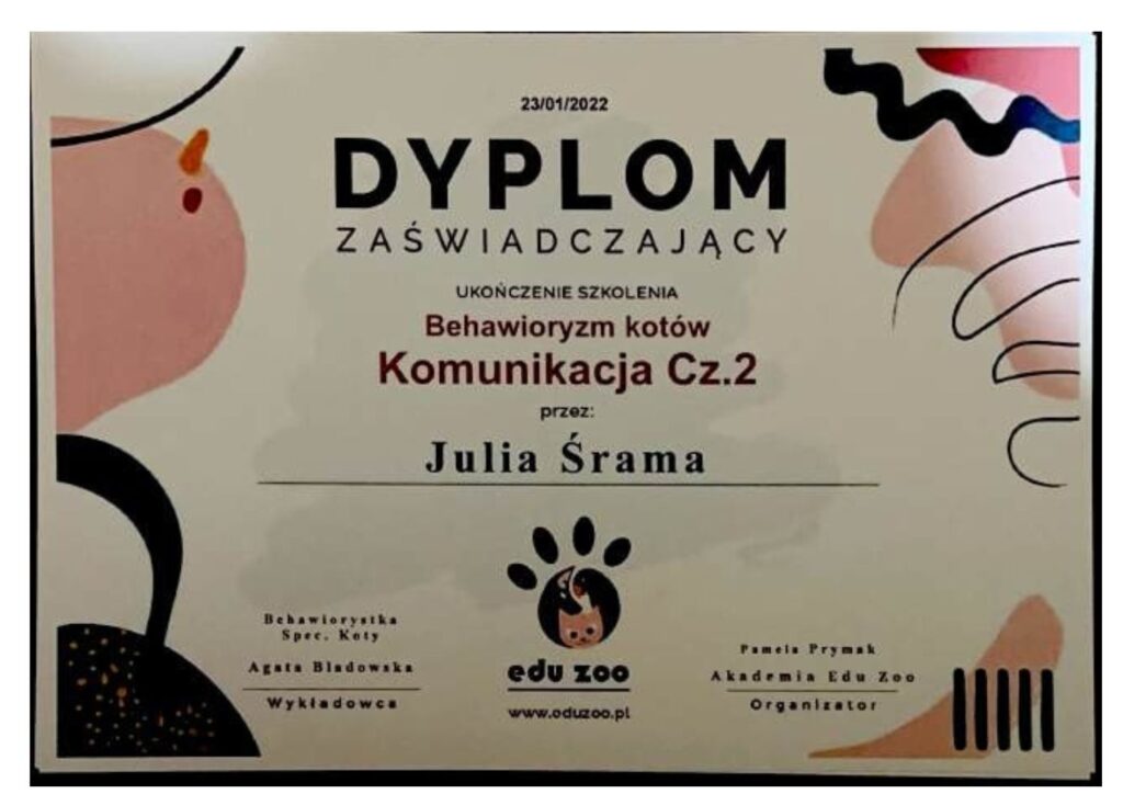 koci behawiorysta, pomoc dla kota, dietetyk dla kota, koci behawiorysta online, koci behawiorysta żory, koci behawiorysta śląsk, mój kot.. Julia Śrama behawiorystka