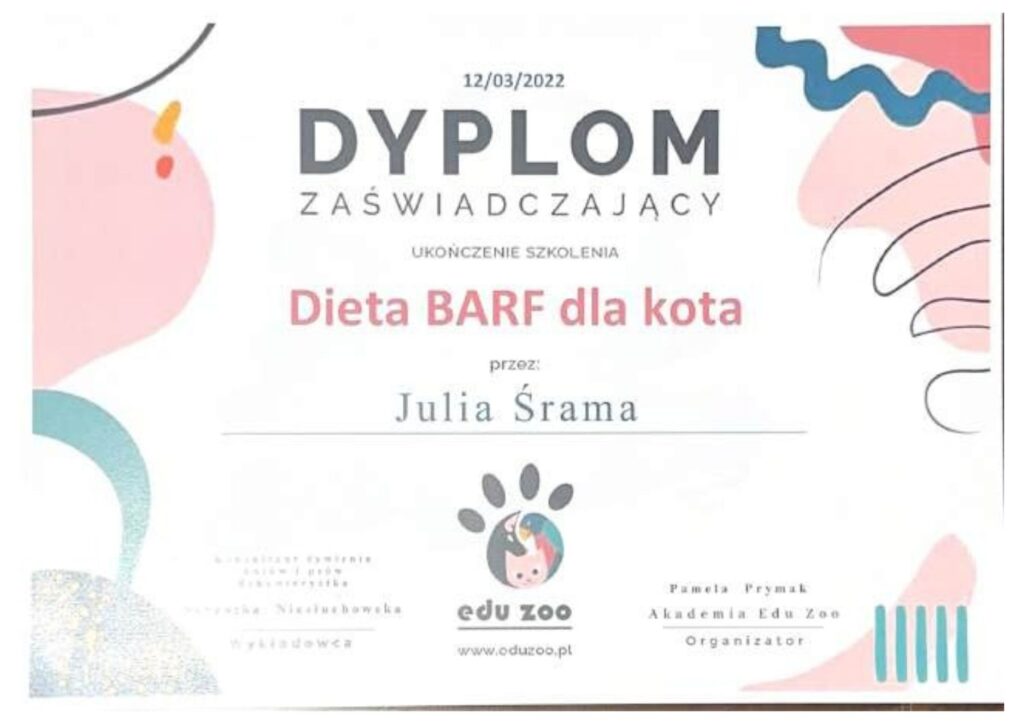 koci behawiorysta, pomoc dla kota, dietetyk dla kota, koci behawiorysta online, koci behawiorysta żory, koci behawiorysta śląsk, mój kot.. Julia Śrama behawiorystka