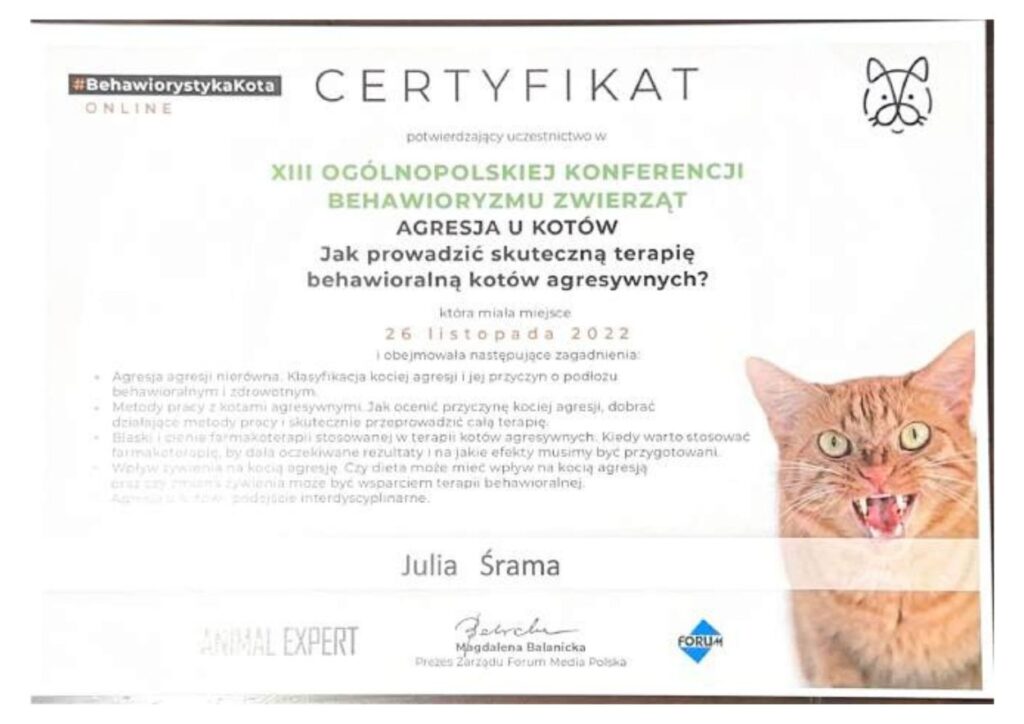 koci behawiorysta, pomoc dla kota, dietetyk dla kota, koci behawiorysta online, koci behawiorysta żory, koci behawiorysta śląsk, mój kot.. Julia Śrama behawiorystka