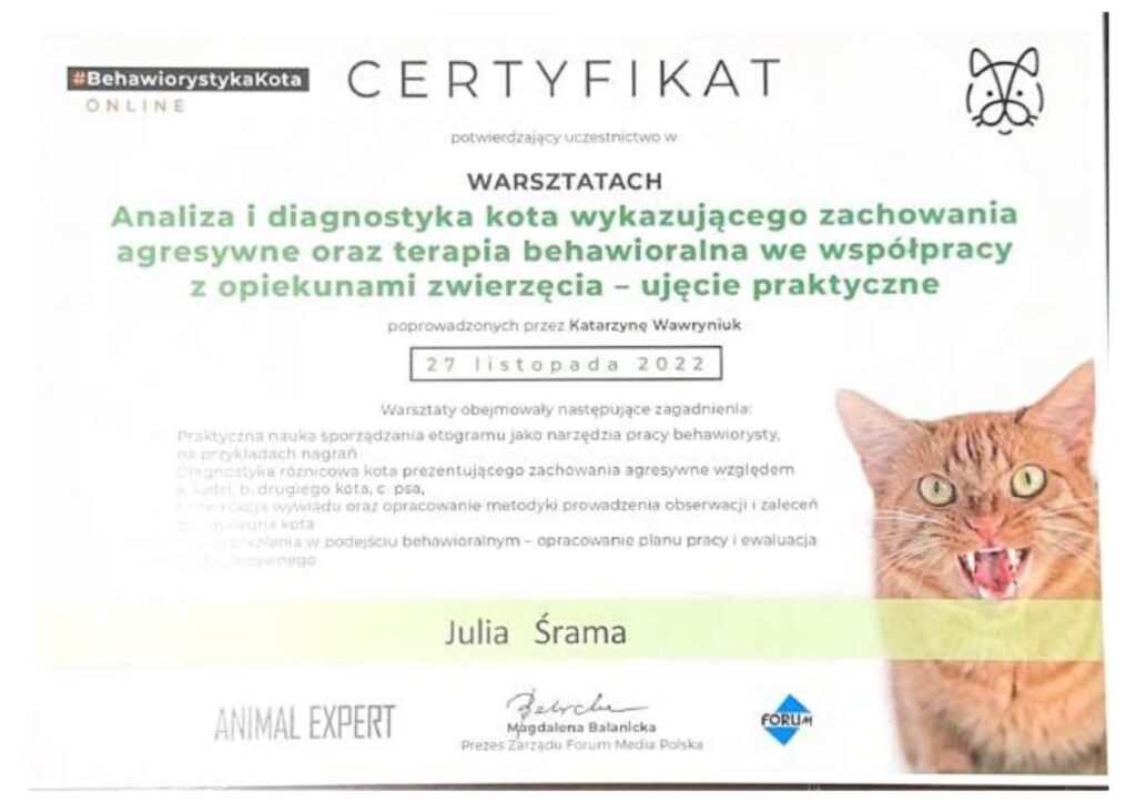 koci behawiorysta, pomoc dla kota, dietetyk dla kota, koci behawiorysta online, koci behawiorysta żory, koci behawiorysta śląsk, mój kot.. Julia Śrama behawiorystka