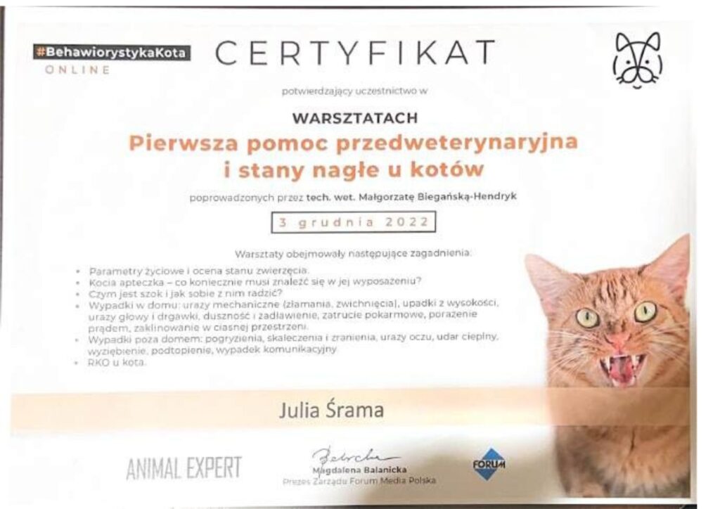 koci behawiorysta, pomoc dla kota, dietetyk dla kota, koci behawiorysta online, koci behawiorysta żory, koci behawiorysta śląsk, mój kot.. Julia Śrama behawiorystka