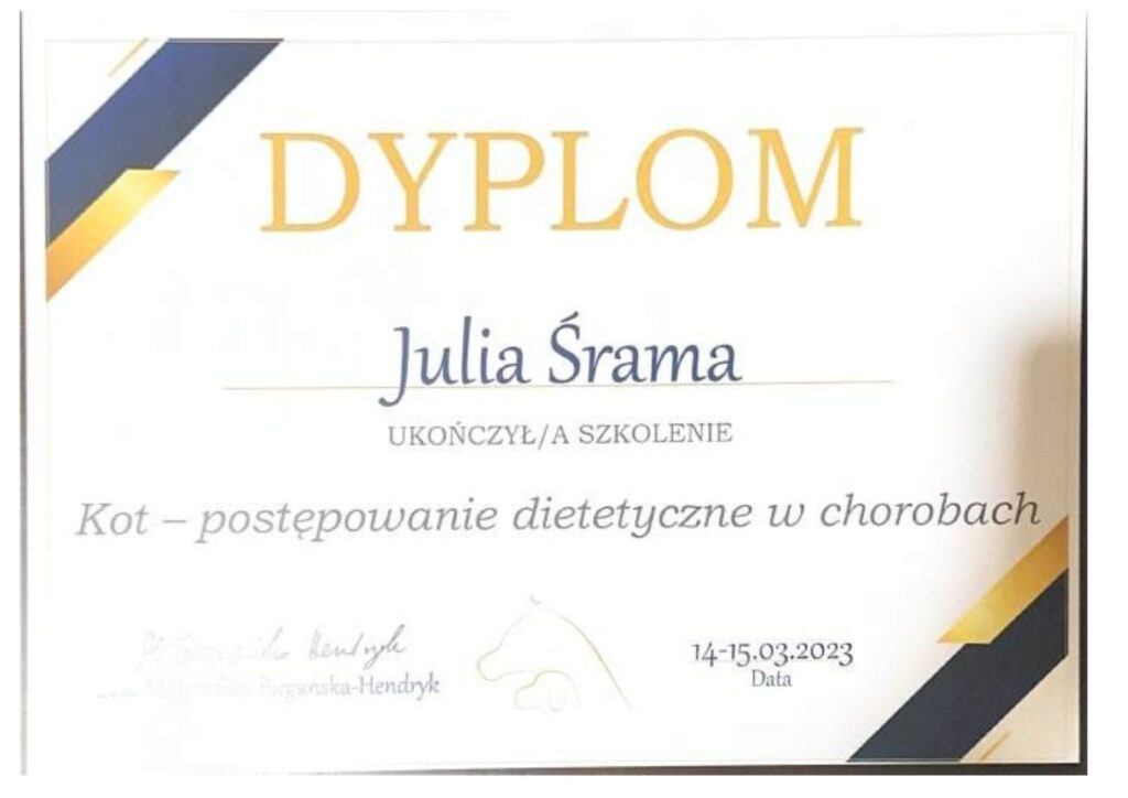 koci behawiorysta, pomoc dla kota, dietetyk dla kota, koci behawiorysta online, koci behawiorysta żory, koci behawiorysta śląsk, mój kot.. Julia Śrama behawiorystka