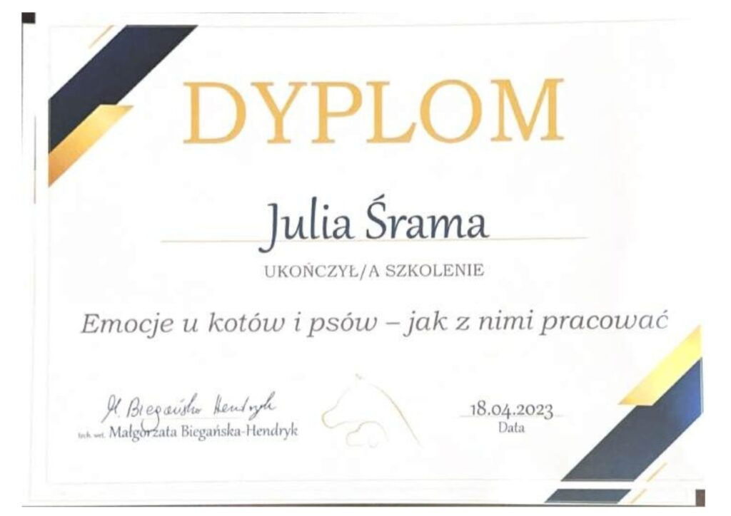 koci behawiorysta, pomoc dla kota, dietetyk dla kota, koci behawiorysta online, koci behawiorysta żory, koci behawiorysta śląsk, mój kot.. Julia Śrama behawiorystka