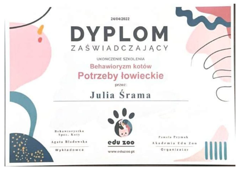 koci behawiorysta, pomoc dla kota, dietetyk dla kota, koci behawiorysta online, koci behawiorysta żory, koci behawiorysta śląsk, mój kot.. Julia Śrama behawiorystka