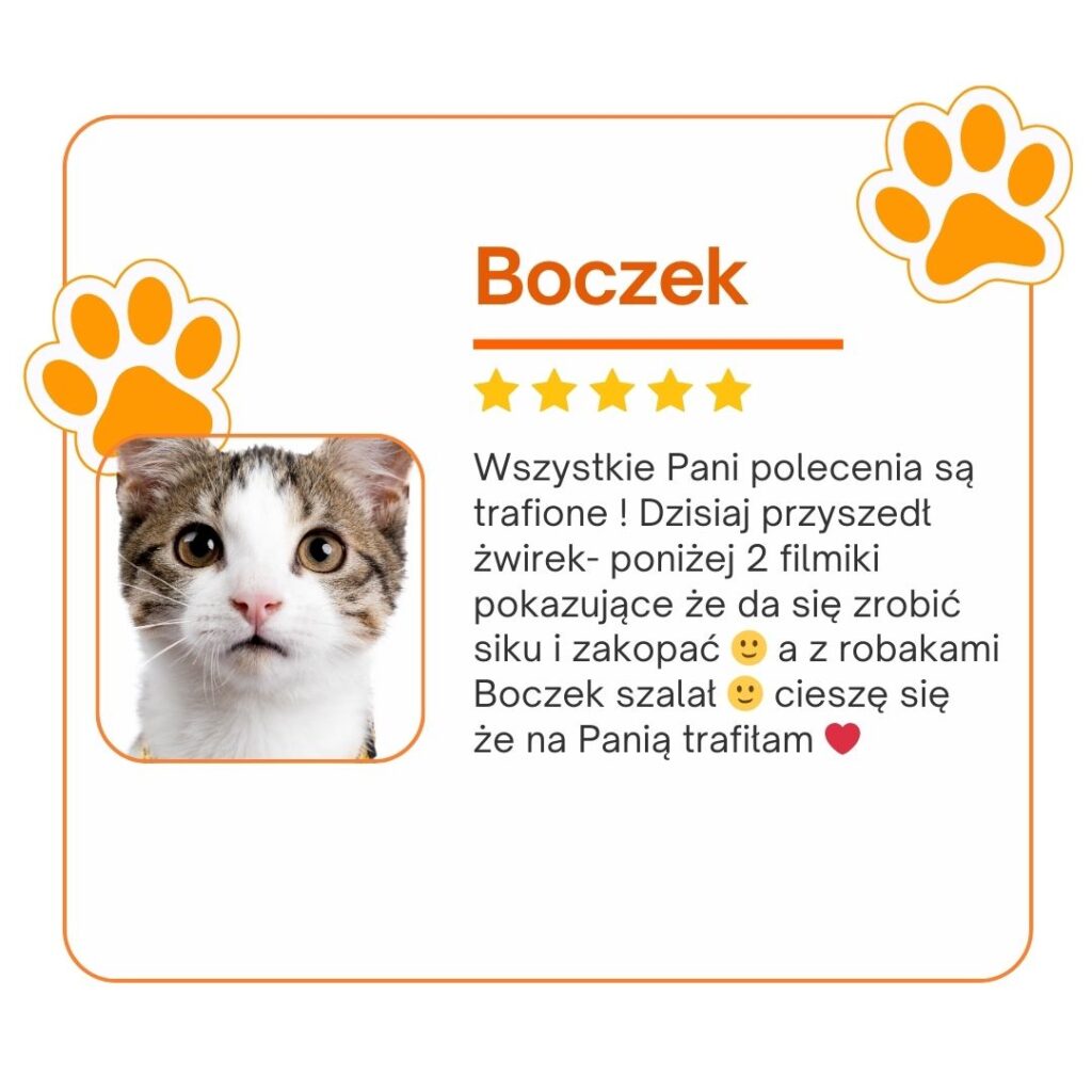 opinie koci behawiorysta, opinie Julia śrama behawiorystka, julia srama behawiorystka opinie, czy warto, koci behawiorysta, pomoc dla kota, dietetyk dla kota, koci behawiorysta online, koci behawiorysta żory, koci behawiorysta śląsk, mój kot..