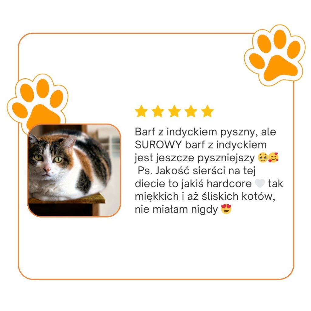 opinie koci behawiorysta, opinie Julia śrama behawiorystka, julia srama behawiorystka opinie, czy warto, koci behawiorysta, pomoc dla kota, dietetyk dla kota, koci behawiorysta online, koci behawiorysta żory, koci behawiorysta śląsk, mój kot..