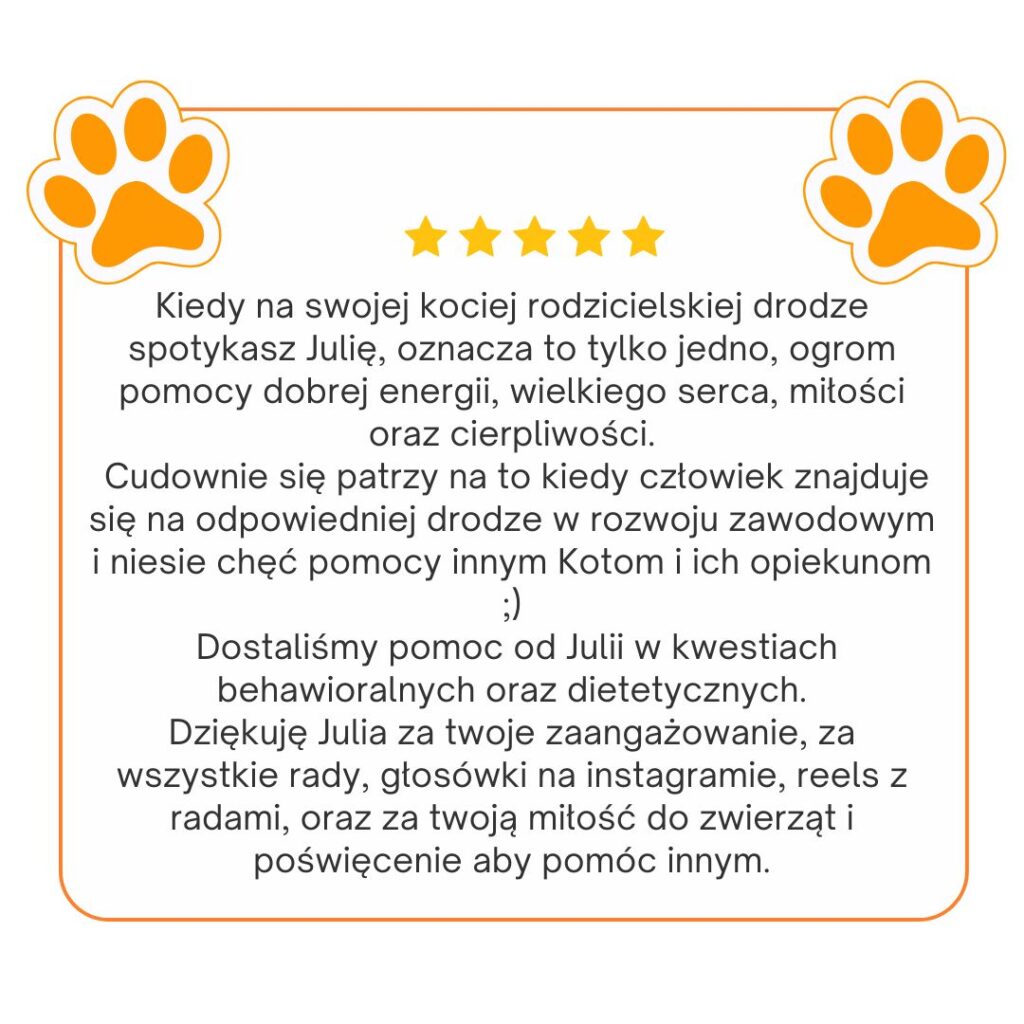 opinie koci behawiorysta, opinie Julia śrama behawiorystka, julia srama behawiorystka opinie, czy warto, koci behawiorysta, pomoc dla kota, dietetyk dla kota, koci behawiorysta online, koci behawiorysta żory, koci behawiorysta śląsk, mój kot..