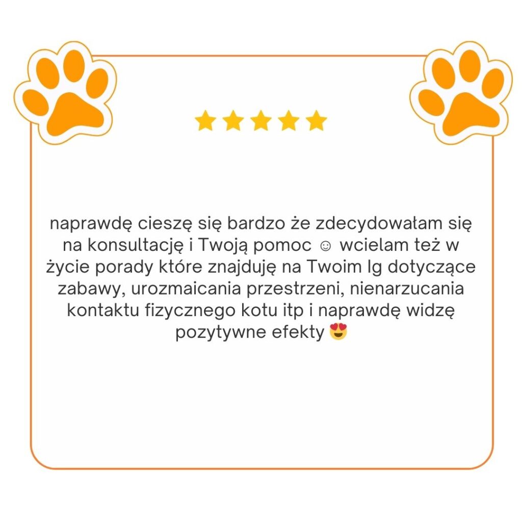 opinie koci behawiorysta, opinie Julia śrama behawiorystka, julia srama behawiorystka opinie, czy warto, koci behawiorysta, pomoc dla kota, dietetyk dla kota, koci behawiorysta online, koci behawiorysta żory, koci behawiorysta śląsk, mój kot..