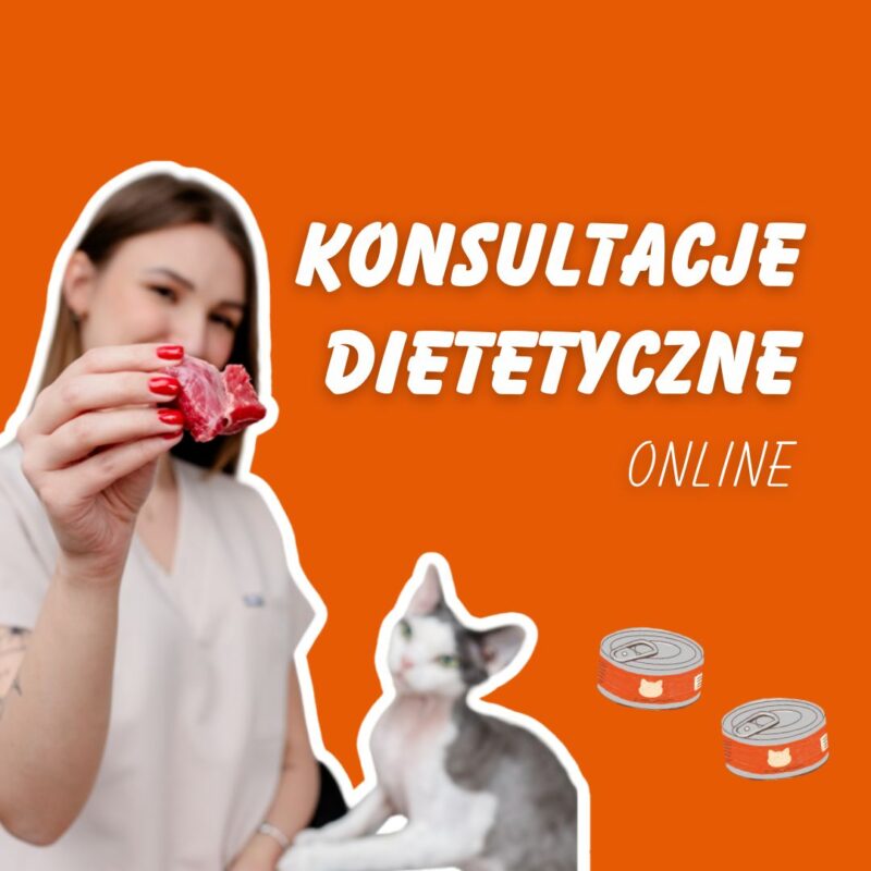 koci behawiorysta, pomoc dla kota, dietetyk dla kota, koci behawiorysta online, koci behawiorysta żory, koci behawiorysta śląsk, mój kot..