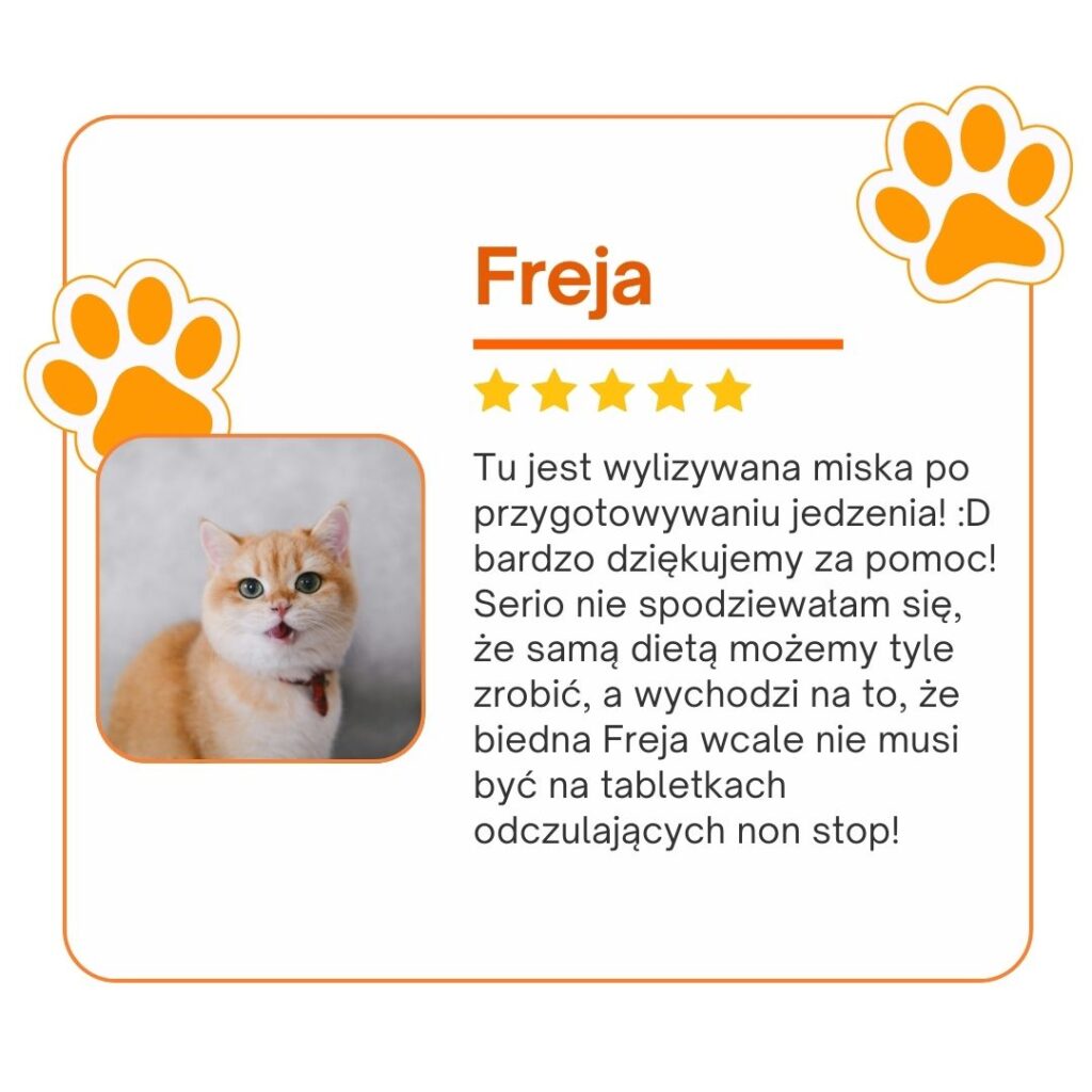opinie koci behawiorysta, opinie Julia śrama behawiorystka, julia srama behawiorystka opinie, czy warto, koci behawiorysta, pomoc dla kota, dietetyk dla kota, koci behawiorysta online, koci behawiorysta żory, koci behawiorysta śląsk, mój kot..